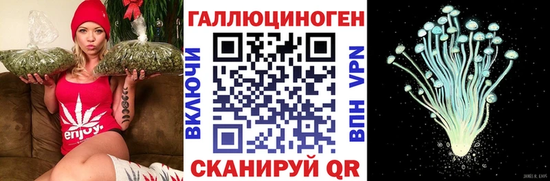 Галлюциногенные грибы мухоморы  Новосибирск 