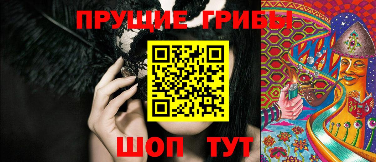 Галлюциногенные грибы Psilocybine cubensis Новосибирск