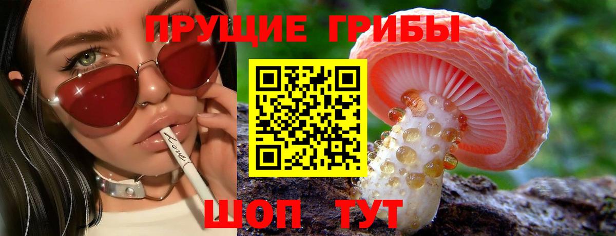 Псилоцибиновые грибы Cubensis  Вход с VPN  Новосибирск  купить  цена  Галлюциногенные грибы Cubensis 